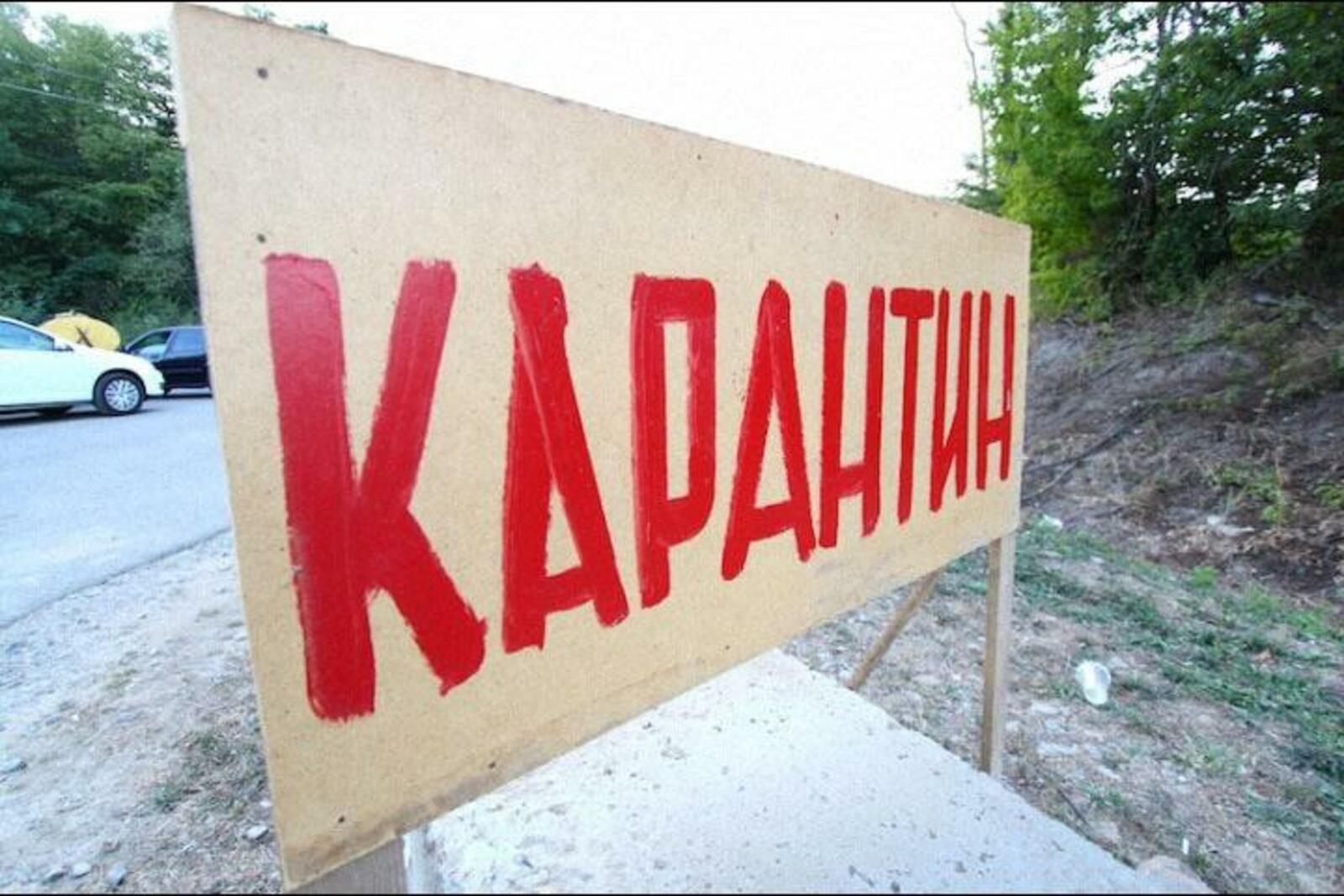 С Началом Карантина Веселые Картинки