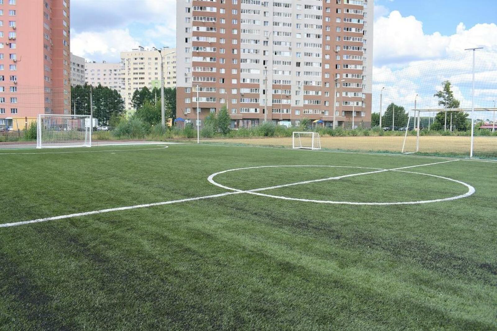 Парк лесоводов футбольное поле