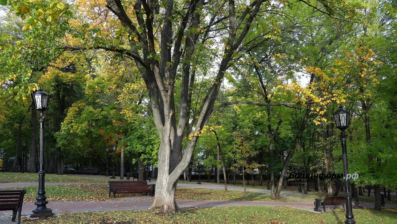 Парк Уфимские липы