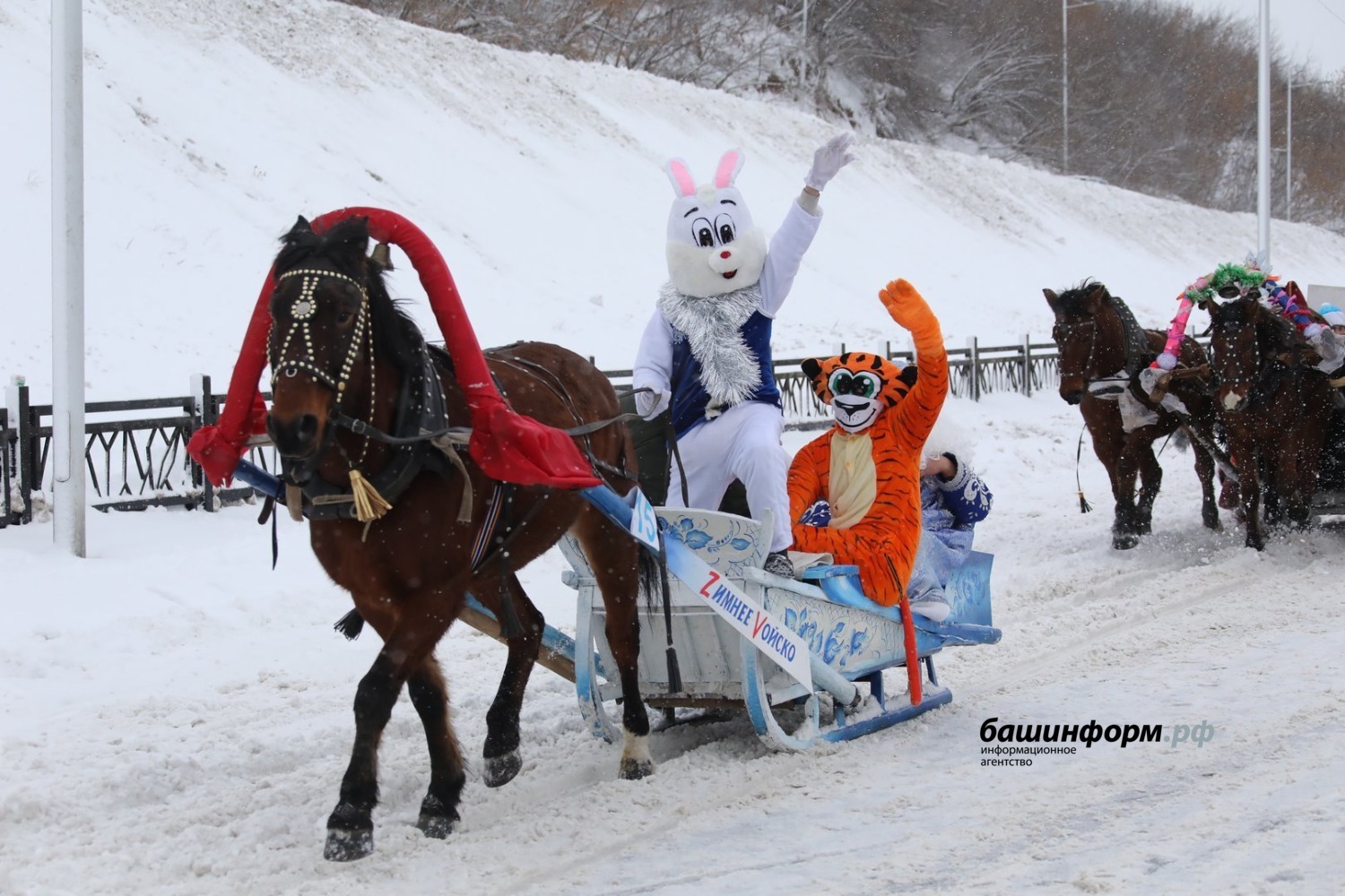 Конно санный тур снежный крака