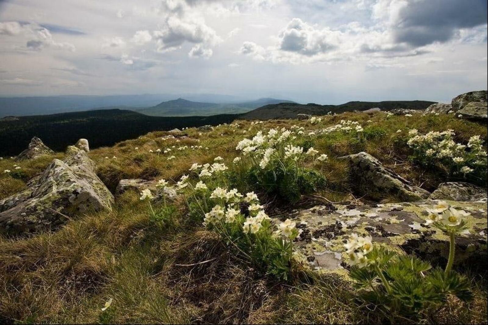 New national park Zigalga is being created on border of Bashkiria and Chelyabins