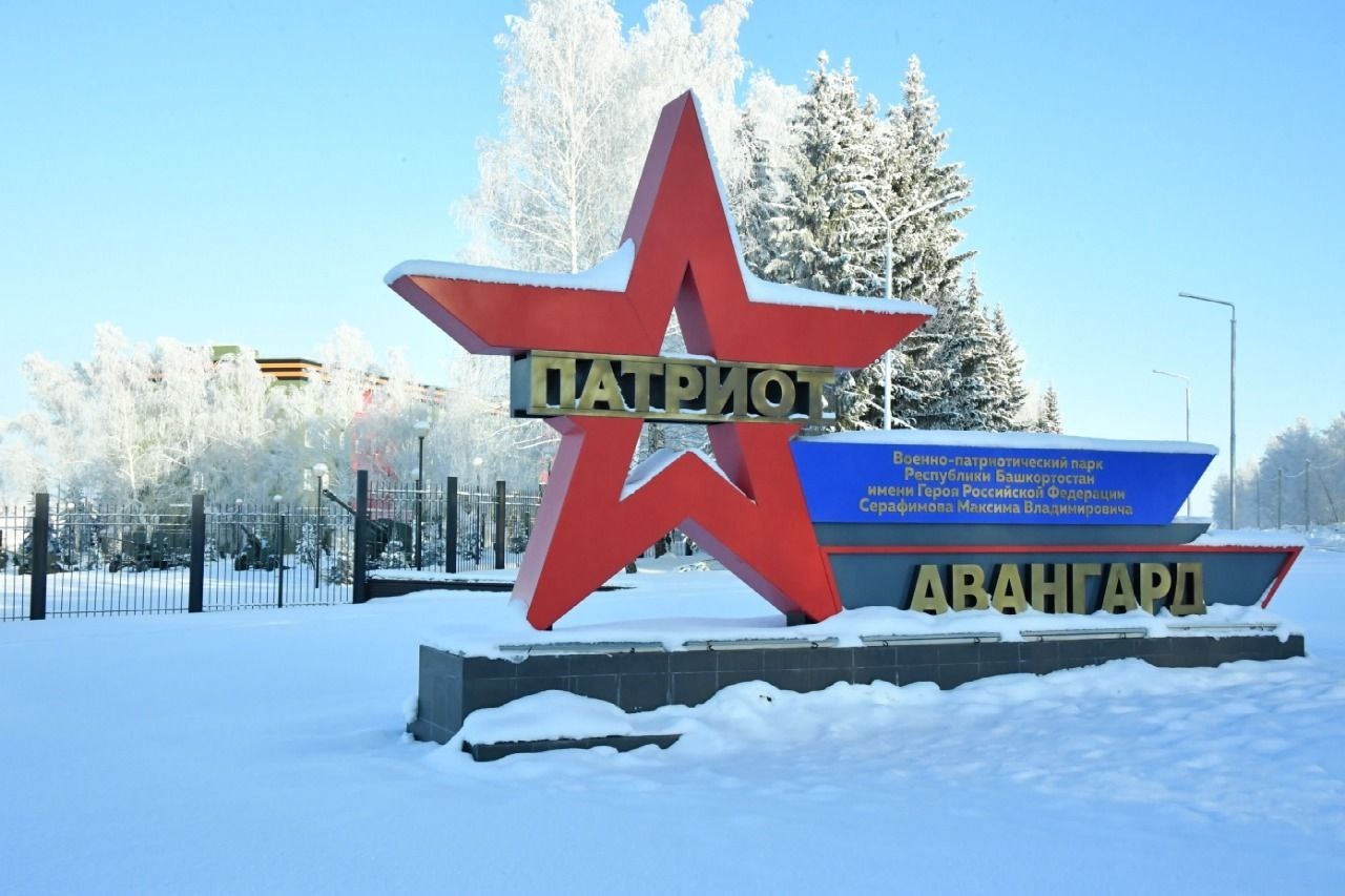 алкино авангард