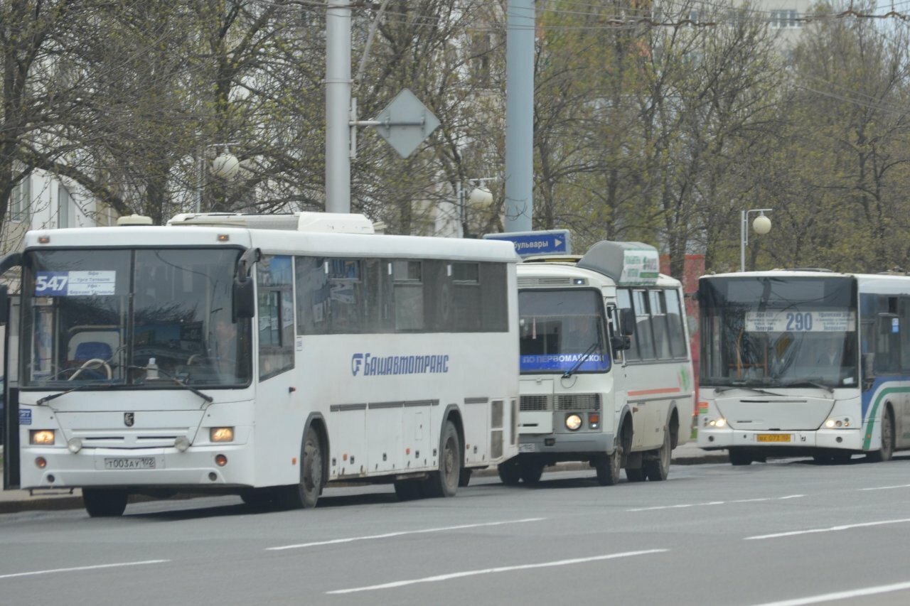 Куда жителям Уфы жаловаться на отсутствие автобусов?