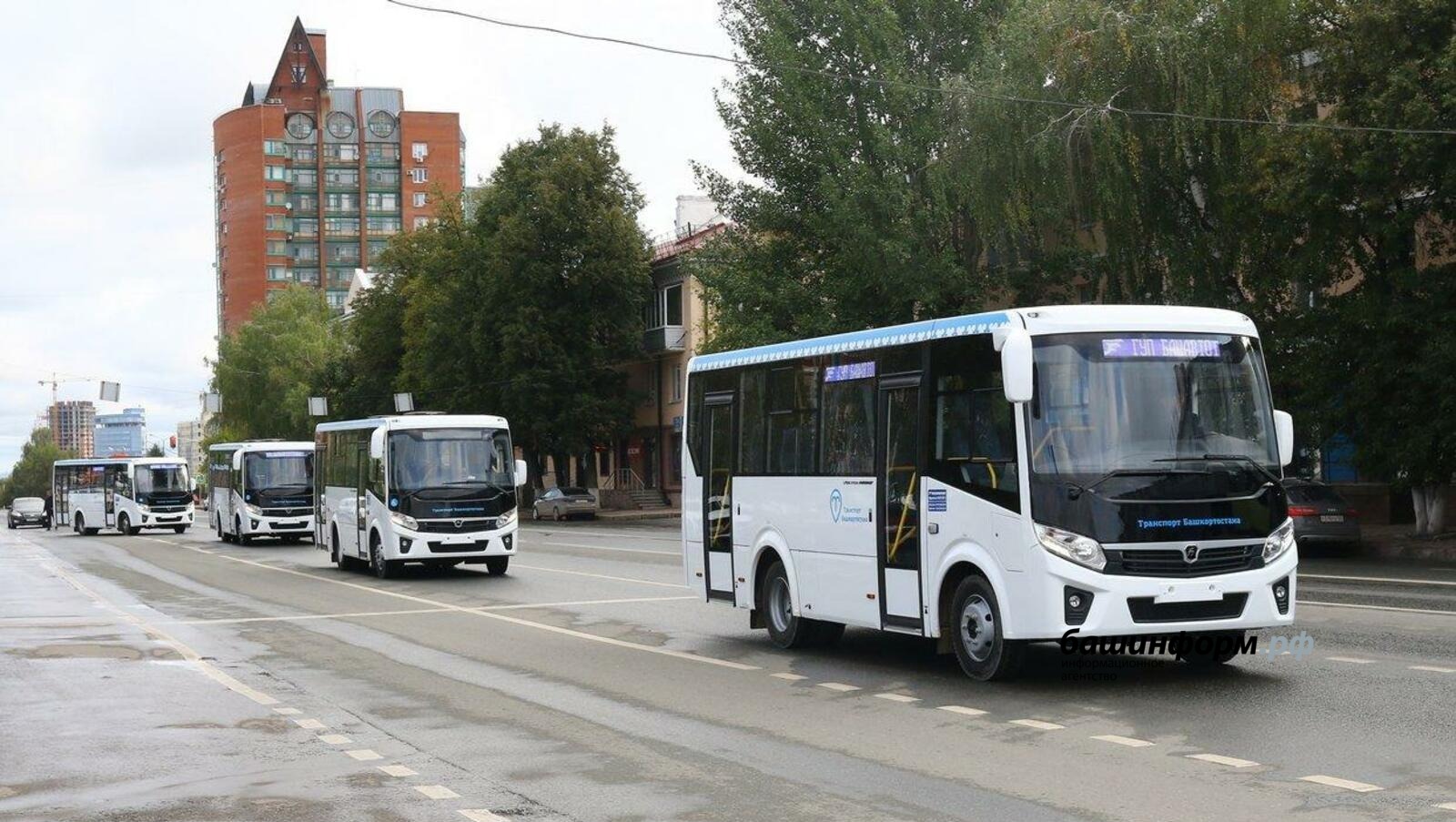 В Башкирии льготным проездом на транспорте пользуются 30 тысяч человек